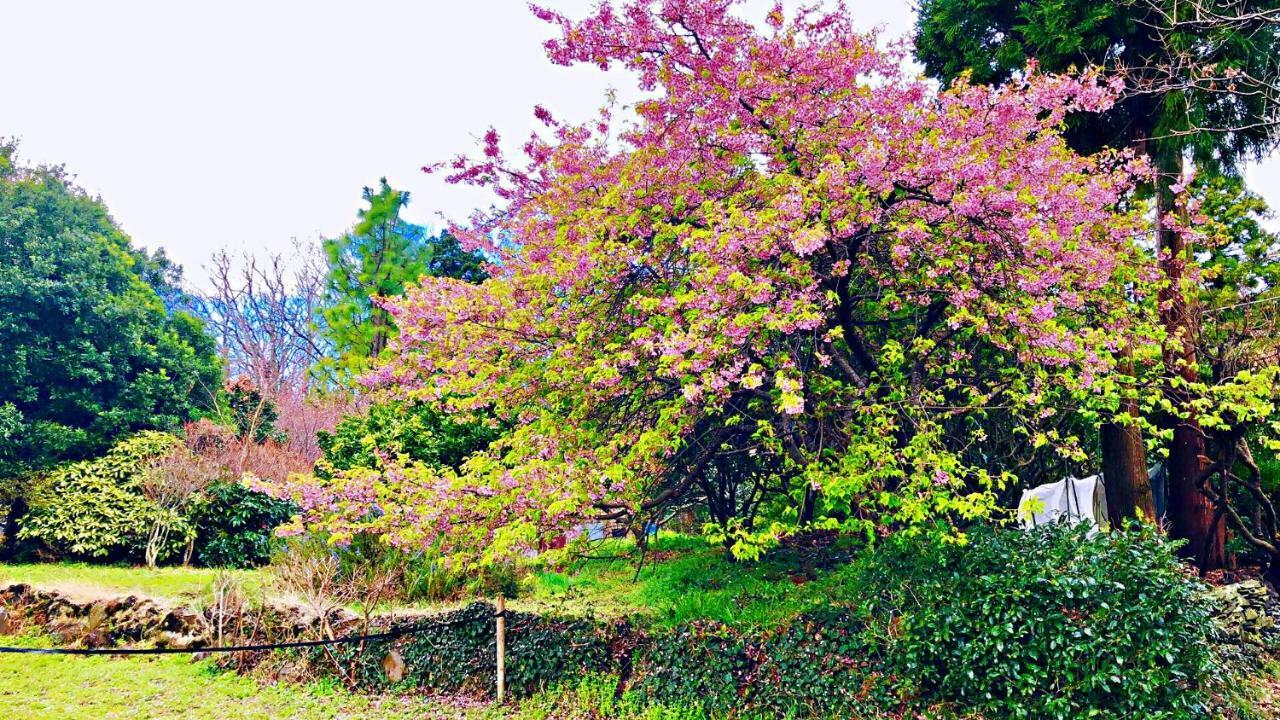 Forest Villa Olive Futo ภายนอก รูปภาพ